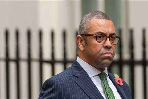 Who is MP James Cleverly?