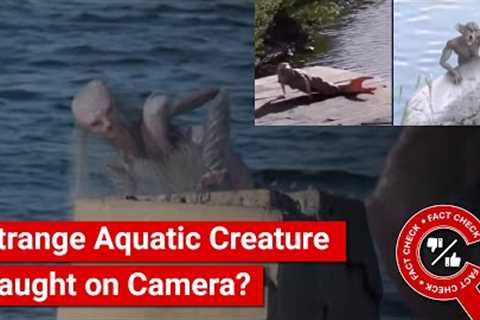 FACT CHECK: Viral Video Shows Strange Aquatic Creature Caught on Camera?