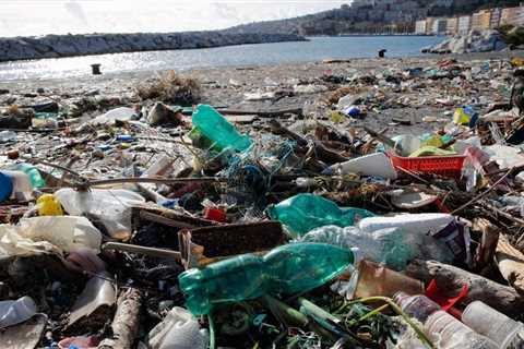 According to the report, just 5 to 6% of the world’s plastic is recycled and production continues..