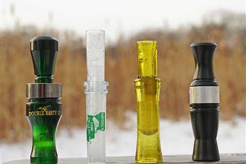 Best Duck Calls for Beginners