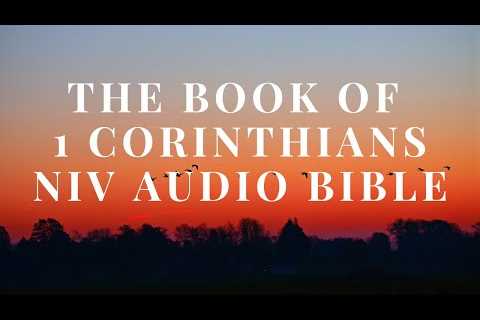 The First Book of 1 Corinthians - NIV Audio Bible||The Power of the cross||The Core of The Gospel