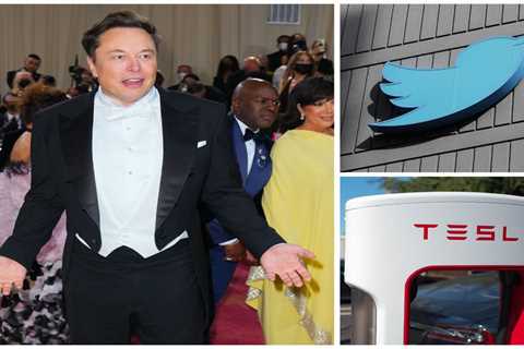 Tesla investors tell Elon Musk to stop wasting time on Twitter as his erratic tweets prompt them to ..