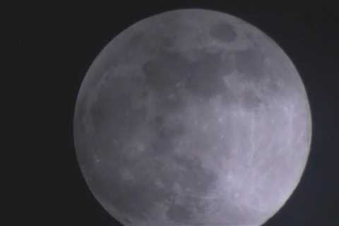 Stargazers to watch Mars dip behind the Moon