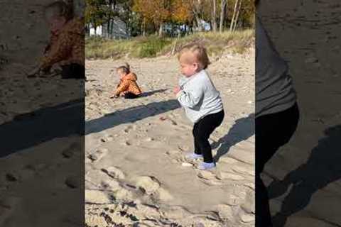 Toddler can''t work out how to carry rocks