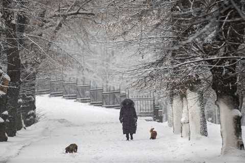 Exact date snow will hit London with fears of power cuts and travel delays as Met Office releases..