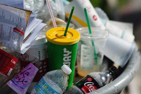 Danielle Smith wishes to end Canada’s restriction on single-use plastic straws