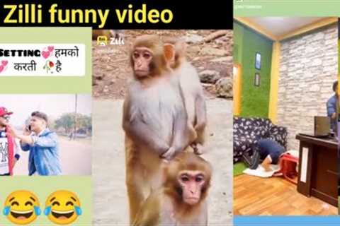 new funy video//zili funy viral video//raato rat viral zili funy video zilli funny video😂😂