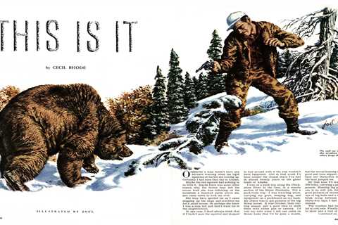 Trying to Stop a Brown Bear Attack With a .38 Special, from the Archives