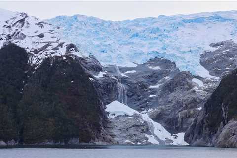 ‘Snowball Earth’ was crushing and cold. What animals could survive it?