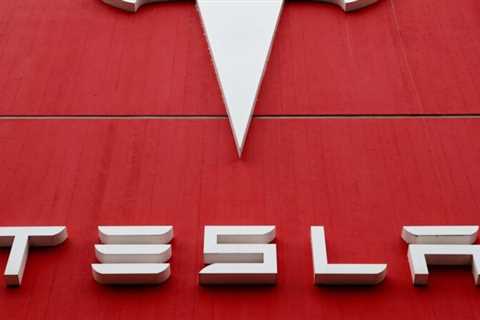 Tesla Suspends Production at Shanghai Plant: Report |  world news