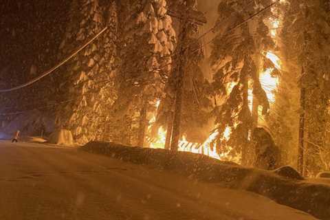 Tahoma cabin fire a reminder of importance of smoke detectors | South Lake Tahoe