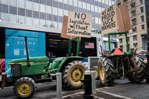 New York City’s Foie Gras Ban Has Been Deemed Illegal (Again)