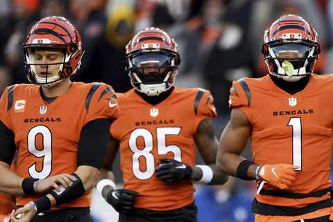 Bengals’ flight makes emergency landing in New York City