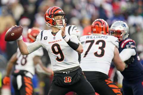 Joe Burrow Reacts to Cincinnati Bengals’ Win With Two Emoji Instagram Post