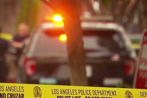 Attacker Sought in North Hollywood Lethal Capturing – NBC Los Angeles