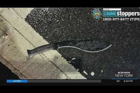 19-year-old in custody in machete attack on three NYPD officers