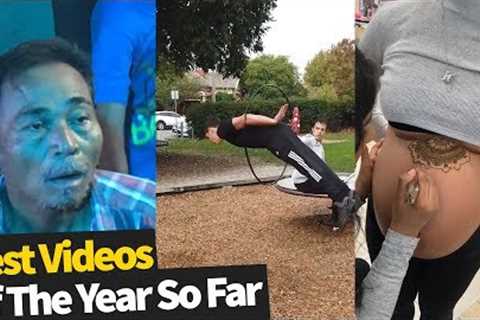 50 Best Viral Videos Of The Year, So Far (2019)