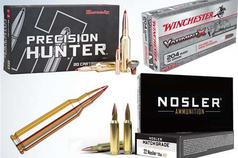 The Best Coyote Calibers