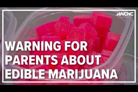 More kids getting sick from marijuana edibles