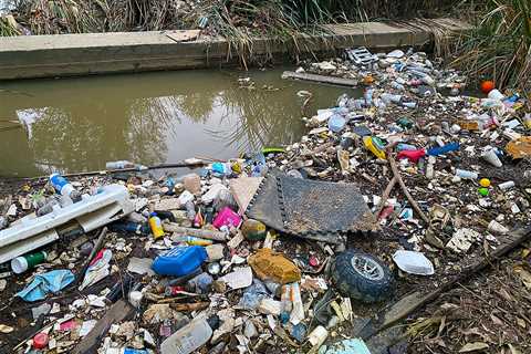 UCR researchers are establishing procedures to transform plastic waste into possibly important soil ..