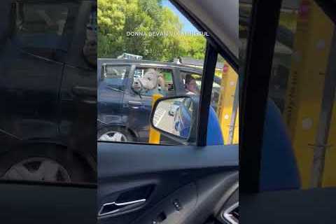 Horse spotted waiting for ice cream at McDonald’s drive-thru #shorts