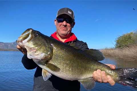 The Best Fishing Lines for Bass of 2023