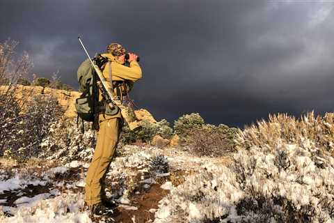 Tracking Desert Mule Deer with My Son Is a Vision of the Past, Present, and Future