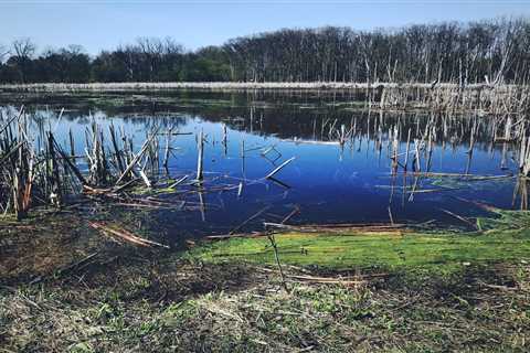 Longtime tensions over federal wetlands rule return in U.S. House WOTUS hearing ⋆