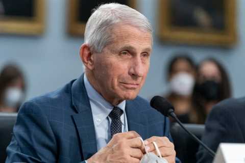 US House Republicans Launch Probe Into COVID-19 Origins With Letter to Fauci