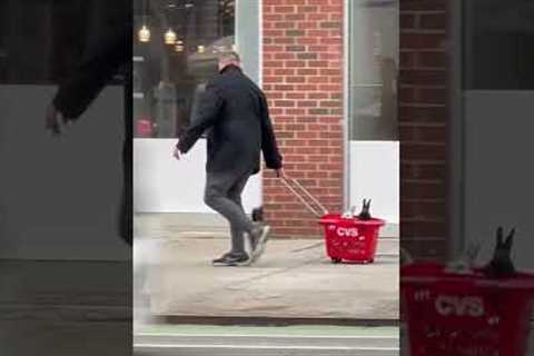 Man takes his baby bunnies for a walk