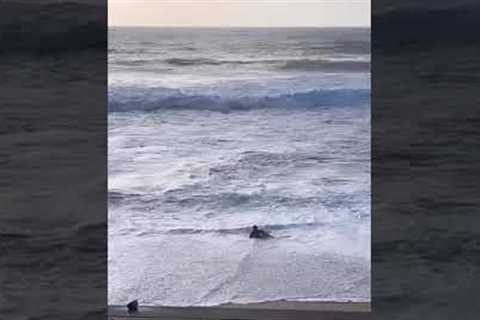 Guy Can't Stop Laughing at Friend's Failed Wave Attack