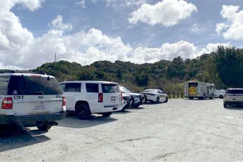 Boy Scout’s mom killed by falling tree throughout Santa Clara hike