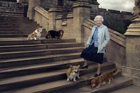 Queen Elizabeth’s Corgis Take Centre Stage At London Exhibition