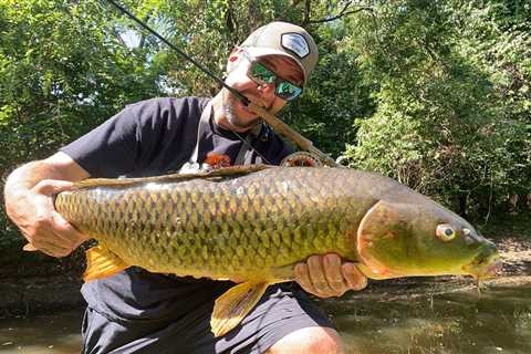 Beginner’s Guide to Fly Fishing for Carp