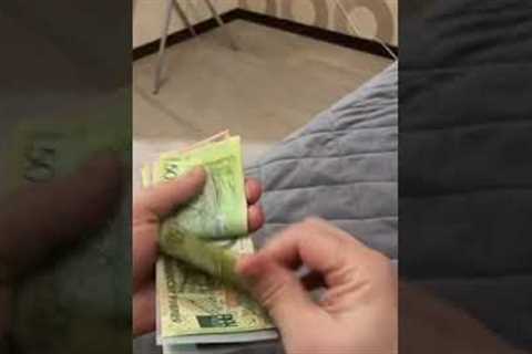 French bulldog helps count money in the cutest way