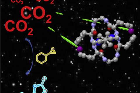 A new catalyst that transforms carbon dioxide into added-value chemical products