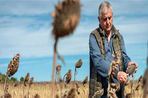 Weak Ukrainian farmers plough a self-sufficient furrow — World Points