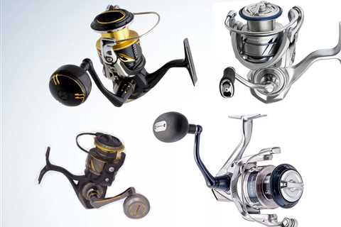 The Best Saltwater Spinning Reels of 2023, Tested