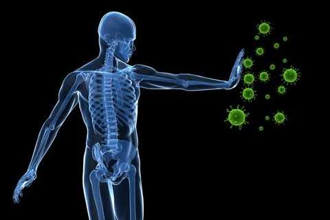 Boosting Immunity – Dr. Kellyann