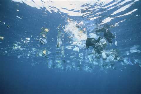 The plastic excess that contaminates the world’s oceans is growing quick