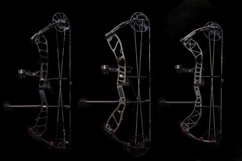 The Best Compound Bows for the Money of 2023, Tested and Reviewed