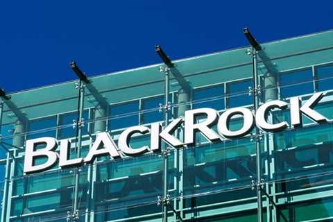 BlackRock Bets Big on These 2 High-Quality and Profitable Stocks