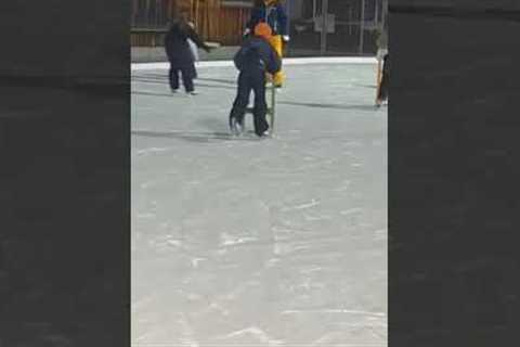 Ice skaters try to catch loose dog