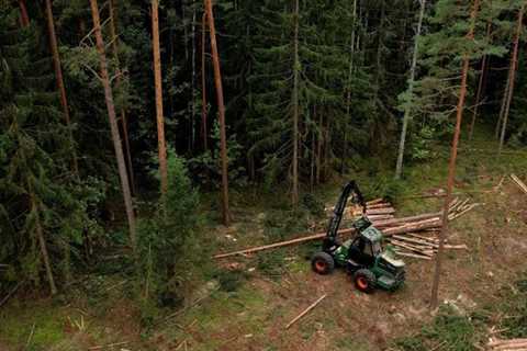 The hidden environmental impacts of getting mass timber fallacious