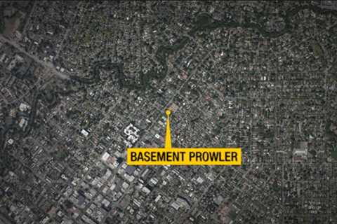 Palo Alto basement prowler being investigated by police