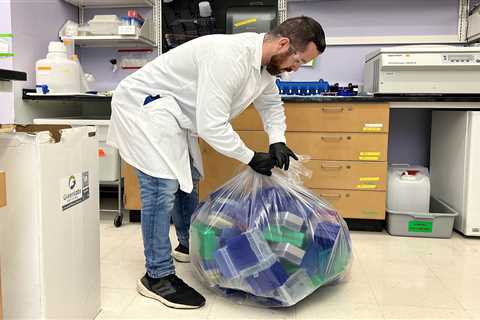 Recycling of plastics from lab |  MIT News