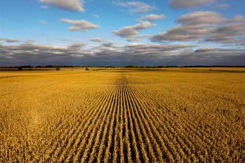 Ag leaders lobby for better risk management programs at U.S. House farm bill hearing ⋆