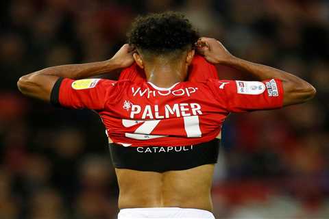 How has Romal Palmer fared since leaving Barnsley last summer?