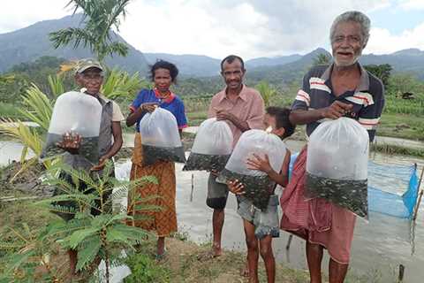 How the Rise of Timor-Lestes Aquaculture Sector Is a Blueprint for Other Small Island Nations —..