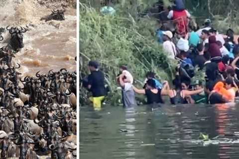 HERE COME THE ILLEGALS! Migrant Hordes Storm Across Rio Grande into US Like African Herd Animals as ..